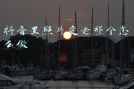 照片变老变年轻软件(换脸神器！这个爆红欧美的FaceApp是怎么做到让你一键变老的？)