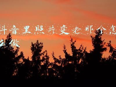 抖音里照片变老那个怎么做
