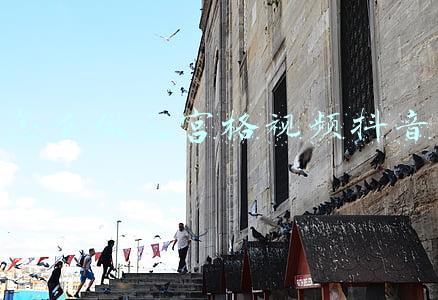 怎么做三宫格视频抖音
