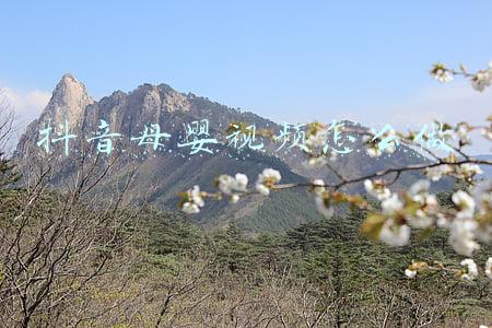 抖音母婴视频怎么做