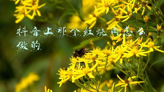 抖音上那个红烧肉怎么做的