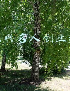 互联网名人(盘点互联网大佬们的高考成绩单，成功都不是偶然)