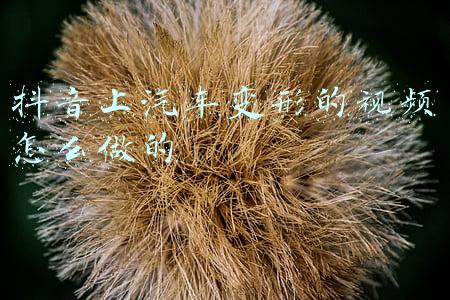 为什么抖音视频变形了(那些被变形家具种草的人，后来都怎么样了)
