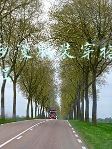 cs动漫服装(今天来一波动漫里的服饰二次元)