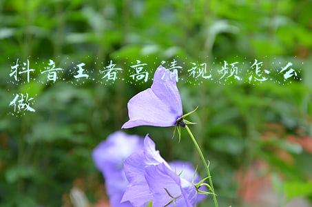 抖音王者高清视频怎么做