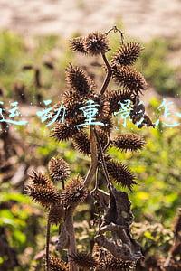 抖音运动重影怎么做