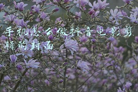 手机怎么做抖音电影剪辑的封面
