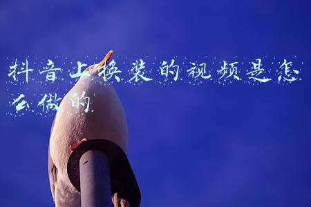 抖音怎么变装视频(伊芙丽玩转抖音变装，爆火社交玩法下的品牌新出路)