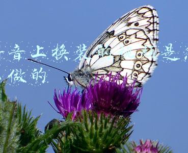 抖音里的换装怎么拍的(抖音短视频怎么换衣服 换衣服教程介绍)