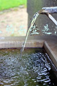 简单的茶壶怎么做(喜欢养花，到了夏天，有1个塑料瓶就用1个，扦插、自制浇花壶)