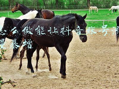 子账号流量怎么设置(掌握这三个步骤新老账号快速起飞干货)