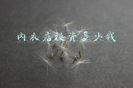 内衣加盟店需要投资多少钱《内衣加盟店需要投资多少钱在镇上》
