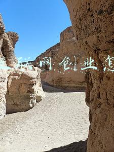 来天津创业需要哪方面支持(天津市政协委员沈欣：鼓励农民“家门口”创业，多举措增加收入)
