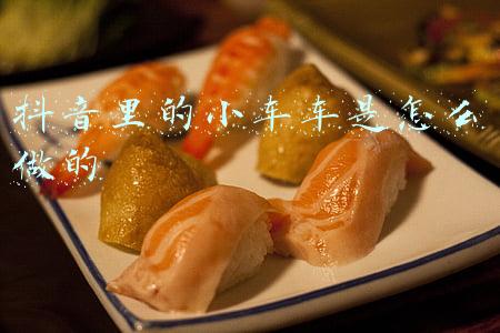 抖音小车车(12.13万起！可刷抖音的女神座驾，比亚迪元Pro试驾)