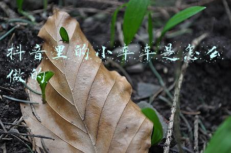 迷你世界小车车怎么做(迷你世界 清水机械师 无与伦比的汽车们)