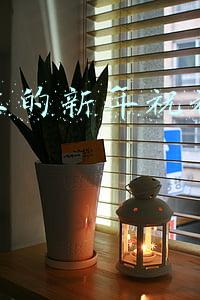 抖音新年祝福文案(三八节祝福语精短句大全 2021女神节发抖音文案 暖心妇女节朋友圈祝福)