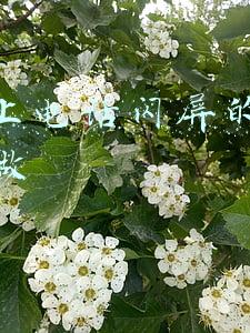 抖音上电话闪屏的视频怎么做