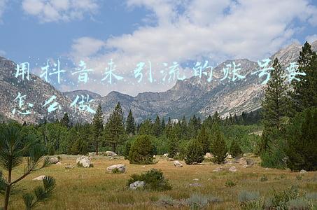 用抖音来引流的账号要怎么做