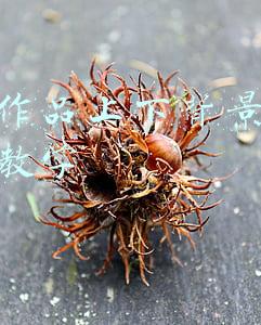 抖音作品背景图怎么弄(抖音超火的油画壁纸，教程来了！)