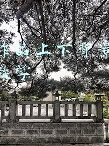 抖音作品上下背景图怎么做教学