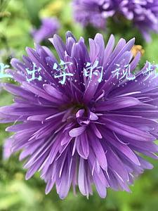 抖音发视频字怎么写上去的(抖音账号怎么打标签？)