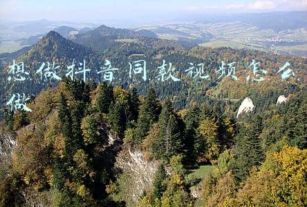 抖音怎样制作同款视频(千万的播放７０多万的点赞２万多人拍同款，这条抖音是如何做到的)