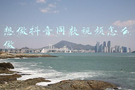 想做抖音同款视频怎么做