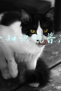 抖音冷知识科普怎么做