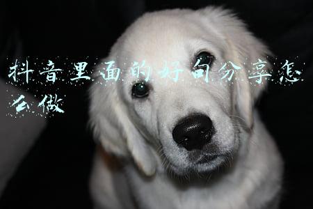 好句分享及感悟(看了让人受益匪浅的感悟句子，句句经典，耐人寻味)