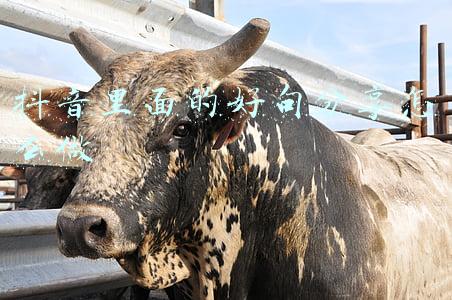 英语好句分享(100个经典句型提高英语战力1000（No.49）)