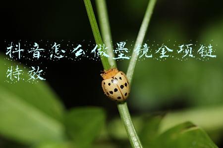 抖音怎么做墨镜金项链特效