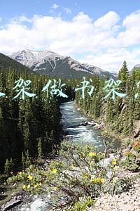 抖音衣架做书架怎么做
