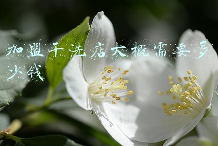 加盟干洗店要多少资金，加盟干洗店大约需要多少钱