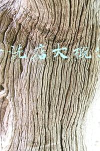 连锁店干洗加盟费多少(干洗连锁加盟费)