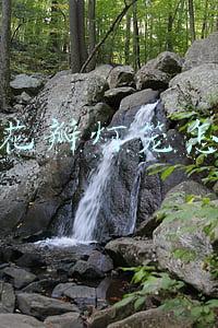 玫瑰花瓣可以做什么(秋冬一杯｜蜂蜜玫瑰养颜茶)