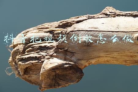 抖音把视频倒放怎么做