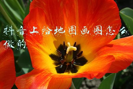 如何在地图上画圈(如何圈出某点周边半径2公里的圆（用百度地图）？)