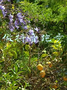 怎么做抖音跑步挣钱