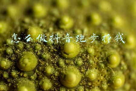怎么做抖音自媒体赚钱(新手怎么做好抖音运营，带你从0开始，做一个赚钱的抖音号)