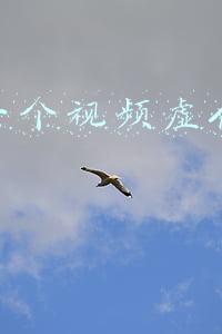 抖音一个视频多长时间(抖音发布2021数据报告，高校公开课直播观看时长超145万小时)