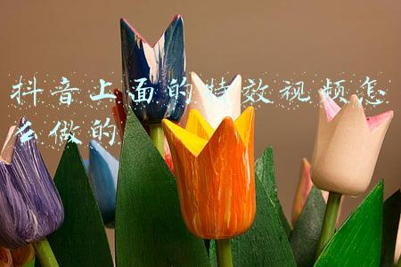 抖音上面的特效视频怎么做的