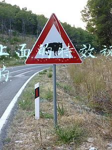 抖音上面的特效视频怎么做的