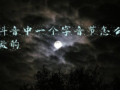 抖音中一个字音节怎么做的