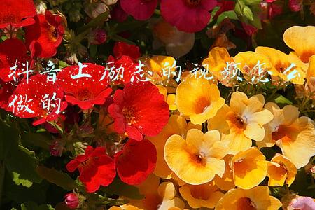 抖音上励志的视频怎么做的
