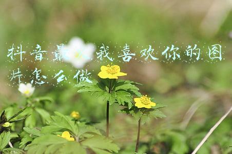 蛇喜欢火吗(蛇也怕高温？广西一条30公斤巨蟒被活活烧死，发现起火为何不跑？)