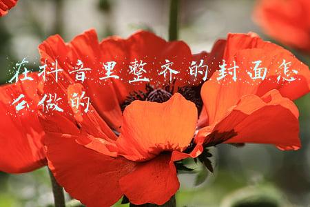 在抖音里整齐的封面怎么做的