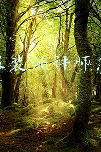 抖音服装测评师怎么做