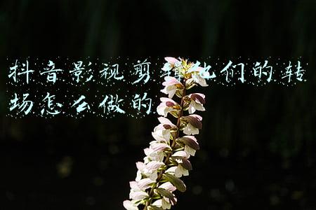 抖音影视剪辑他们的转场怎么做的