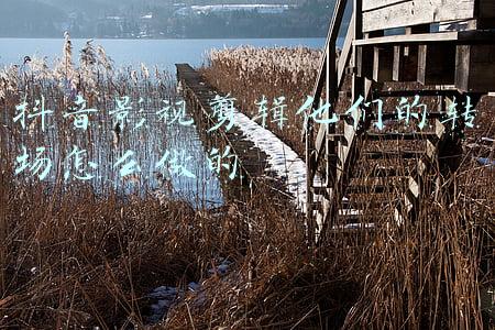 蜜蜂剪辑转场素材(自媒体的福音——蜜蜂视频剪辑)