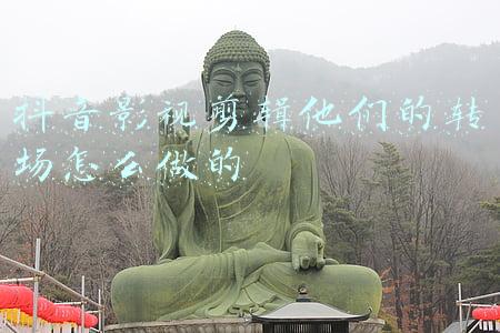 视频剪辑转场技巧(无需后期！7个转场让你用手机拍出炫酷短视频！)